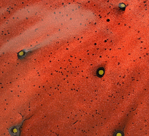 DH010 Extra Large 18" Platter Black and Red Spots