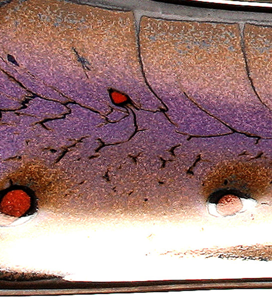 DH080 Relish Tray in Black, Purple, Chartreuse and Red Spots