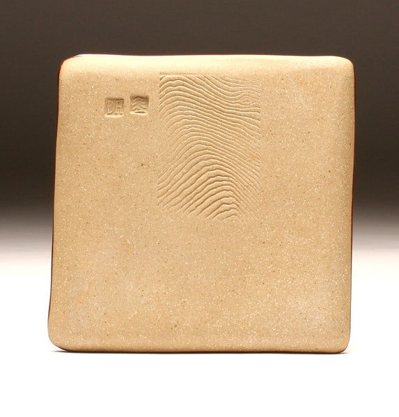DH094 Square Plate Teal with Spots