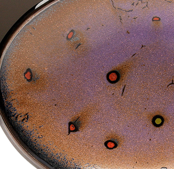 DH073 Medium Spotted Oval Platter Purple, Black, Chartreuse and Red Spots